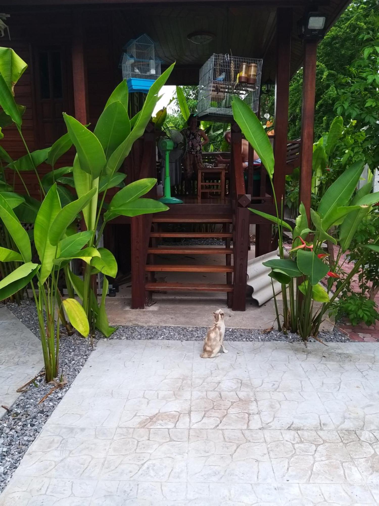 บ้านทะเลอิ่มเอม Bann Talay Im Eimm بان فيه المظهر الخارجي الصورة